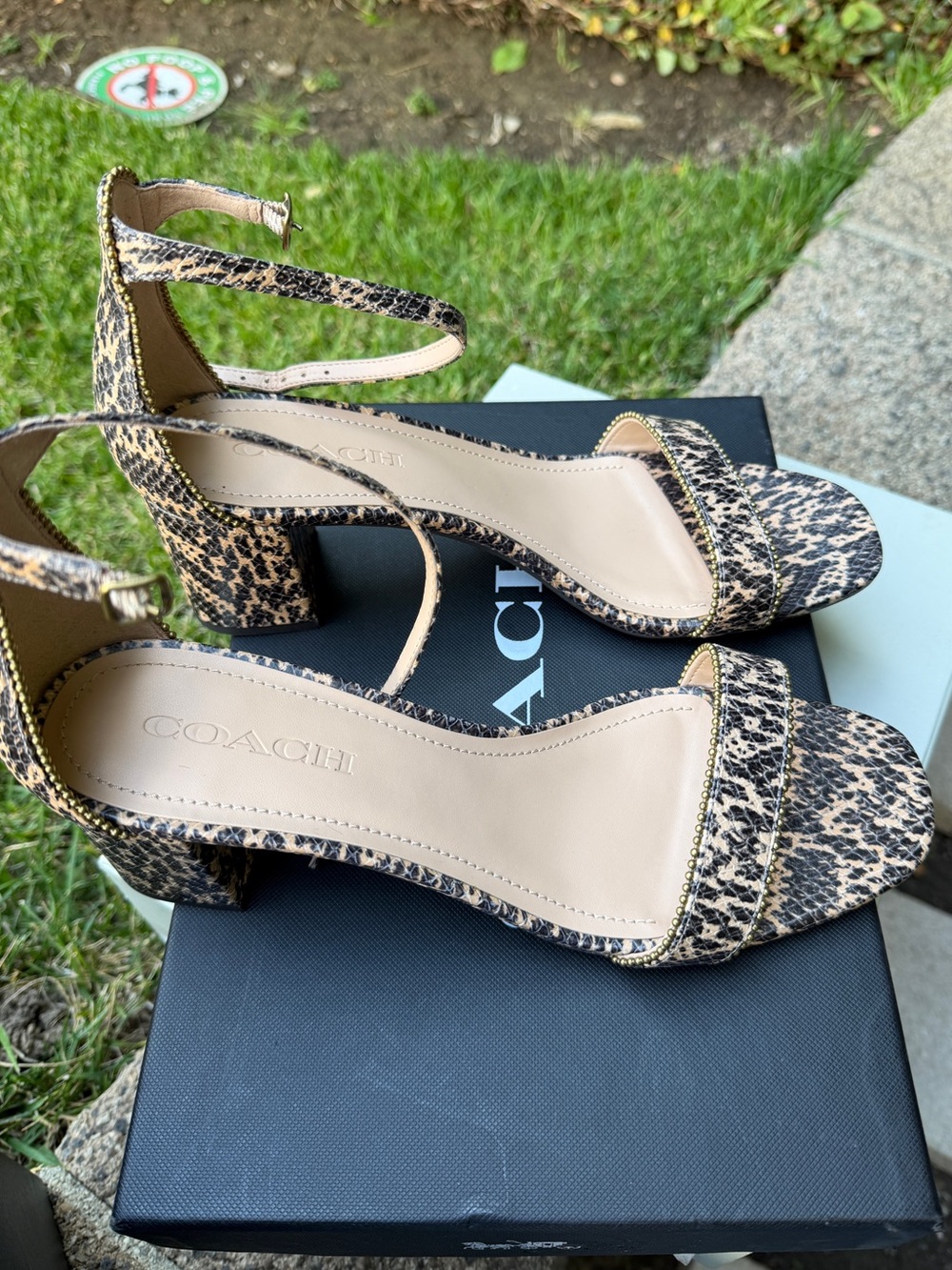 COACH Maddie Women’s Leopard Print Ankle-Strap Block Heel Sandals Natural/Black